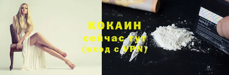 купить   Нижние Серги  КОКАИН Fish Scale 